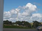 thumbs/NZ_Riki_0513.jpg