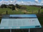 thumbs/NZ_Riki_0514.jpg