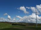 thumbs/NZ_Riki_0515.jpg
