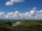 thumbs/NZ_Riki_0516.jpg
