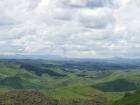 thumbs/NZ_Riki_0520.jpg