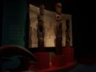 thumbs/NZ_Riki_0522.jpg
