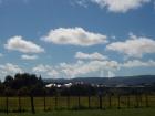 thumbs/NZ_Riki_0563.jpg
