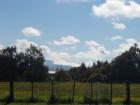 thumbs/NZ_Riki_0564.jpg