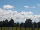 thumbs/NZ_Riki_0565.jpg