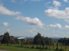 thumbs/NZ_Riki_0566.jpg
