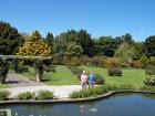 thumbs/NZ_Riki_0575.jpg