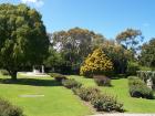 thumbs/NZ_Riki_0576.jpg