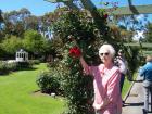 thumbs/NZ_Riki_0579.jpg