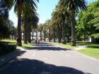thumbs/NZ_Riki_0581.jpg