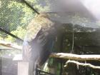 thumbs/NZ_Riki_0583.jpg