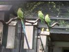thumbs/NZ_Riki_0584.jpg