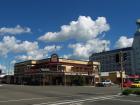 thumbs/NZ_Riki_0593.jpg