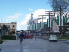 thumbs/NZ_Riki_0597.jpg
