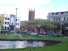 thumbs/NZ_Riki_0600.jpg