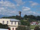 thumbs/NZ_Riki_0623.jpg