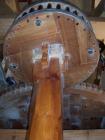 thumbs/NZ_Riki_0630.jpg