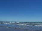 thumbs/NZ_Riki_0640.jpg
