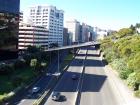 thumbs/NZ_Riki_0766.jpg