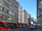 thumbs/NZ_Riki_0768.jpg