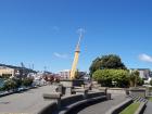 thumbs/NZ_Riki_0780.jpg