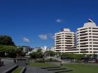 thumbs/NZ_Riki_0781.jpg