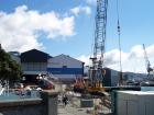thumbs/NZ_Riki_0785.jpg