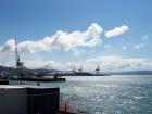 thumbs/NZ_Riki_0786.jpg