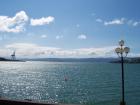 thumbs/NZ_Riki_0787.jpg