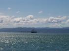 thumbs/NZ_Riki_0788.jpg
