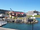 thumbs/NZ_Riki_0790.jpg