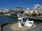 thumbs/NZ_Riki_0791.jpg