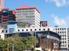 thumbs/NZ_Riki_0792.jpg