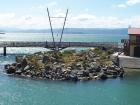 thumbs/NZ_Riki_0793.jpg