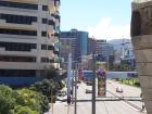thumbs/NZ_Riki_0802.jpg