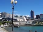 thumbs/NZ_Riki_0803.jpg