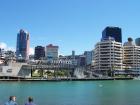 thumbs/NZ_Riki_0804.jpg