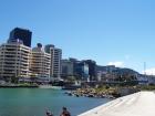 thumbs/NZ_Riki_0805.jpg