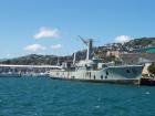 thumbs/NZ_Riki_0806.jpg