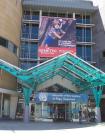 thumbs/NZ_Riki_0807.jpg