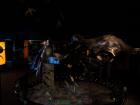 thumbs/NZ_Riki_0815.jpg