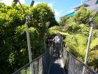 thumbs/NZ_Riki_0816.jpg