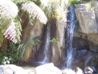 thumbs/NZ_Riki_0820.jpg