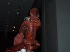 thumbs/NZ_Riki_0823.jpg