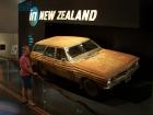 thumbs/NZ_Riki_0840.jpg