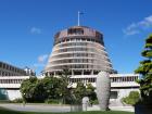thumbs/NZ_Riki_0847.jpg