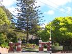 thumbs/NZ_Riki_0849.jpg