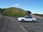 thumbs/NZ_Riki_0850.jpg