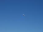 thumbs/NZ_Riki_0851.jpg