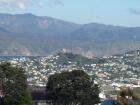 thumbs/NZ_Riki_0855.jpg